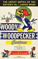Watch The Woody Woodpecker Polka Zmovie