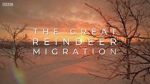 Watch All Aboard! The Great Reindeer Migration Zmovie