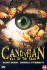 Watch Candyman: Day of the Dead Zmovie