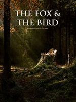 Watch The Fox and the Bird (Short 2019) Zmovie