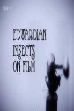 Watch Edwardian Insects on Film Zmovie