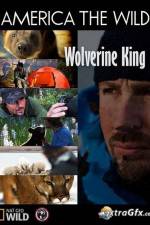 Watch National Geographic Wild America the Wild Wolverine King Zmovie