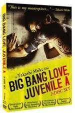 Watch Big Bang Love Juvenile A Zmovie