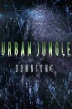 Watch National Geographic Wild Urban Jungle Downtown Zmovie