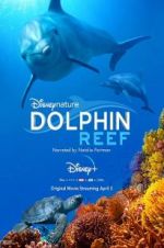 Watch Dolphin Reef Zmovie