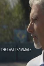 Watch Senna The Last Teammate Zmovie