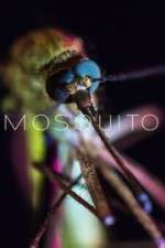 Watch Mosquito Zmovie