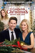 Watch A Godwink Christmas: Meant for Love Zmovie