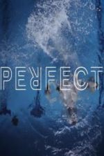 Watch Perfect Zmovie