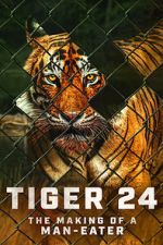 Watch Tiger 24 Zmovie