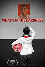 Watch What\'s in the Darkness Zmovie