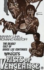 Watch Bruce\'s Fists of Vengeance Zmovie