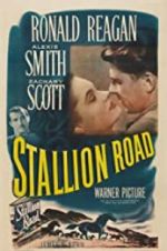 Watch Stallion Road Zmovie