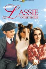 Watch Lassie Come Home Zmovie