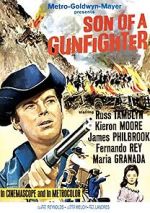 Watch Son of a Gunfighter Zmovie