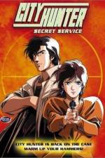 Watch City Hunter Secret Service Zmovie