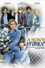 Watch A Son's Promise Zmovie