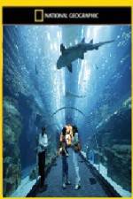 Watch National Geographic Megastructures Dubai Mega Mall Zmovie