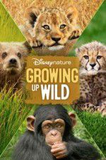 Watch Growing Up Wild Zmovie