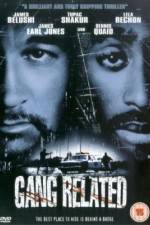 Watch Gang Related Zmovie