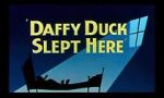 Watch Daffy Duck Slept Here (Short 1948) Zmovie