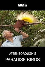 Watch Attenborough's Paradise Birds Zmovie
