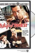 Watch The Petrified Forest Zmovie