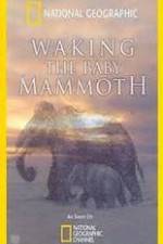 Watch Waking the Baby Mammoth Zmovie