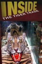 Watch Inside: The Tiger Trade Zmovie