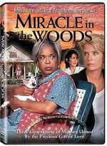 Watch Miracle in the Woods Zmovie