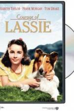 Watch Courage of Lassie Zmovie