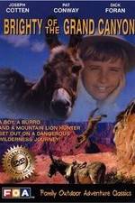 Watch Brighty of the Grand Canyon Zmovie