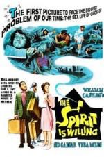 Watch The Spirit Is Willing Zmovie