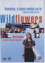 Watch Wildflowers Zmovie