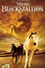 Watch The Young Black Stallion Zmovie