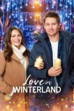 Watch Love in Winterland Zmovie