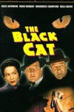 Watch The Black Cat Zmovie