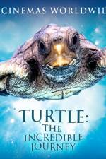 Watch Turtle The Incredible Journey Zmovie