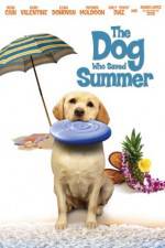 Watch The Dog Who Saved Summer Zmovie