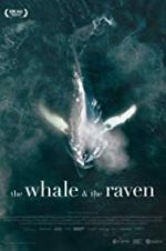 Watch The Whale and the Raven Zmovie