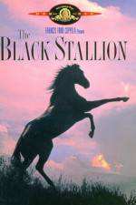 Watch The Black Stallion Zmovie