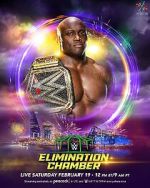 Watch WWE Elimination Chamber (TV Special 2022) Zmovie