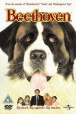 Watch Beethoven Zmovie