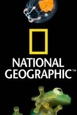 Watch National Geographic Wild Dam Beavers Zmovie