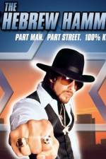 Watch The Hebrew Hammer Zmovie