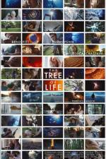 Watch The Tree of Life Zmovie