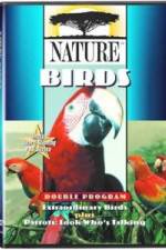 Watch PBS Nature - Extraordinary Birds Zmovie