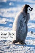 Watch Snow Chick: A Penguin's Tale Zmovie