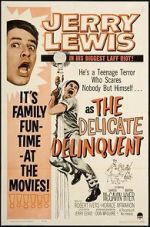 Watch The Delicate Delinquent Zmovie