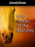 Watch Wild Horses of the Marshes Zmovie